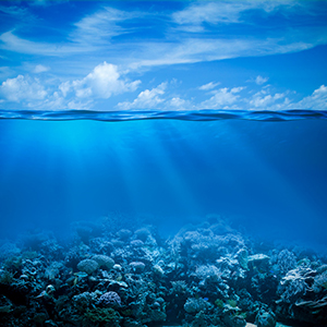 Underwater coral reef seabed view with horizon and water surface